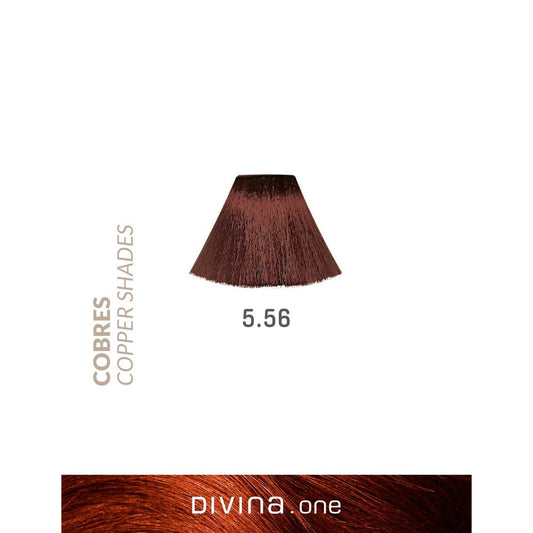 Eva | Divina One | 5.56 | Daiquiri Copper